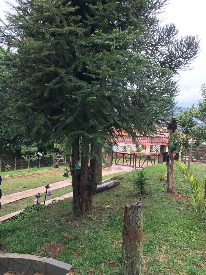 Chalé em Monte Verde , linda vista para montanhas Exterior foto